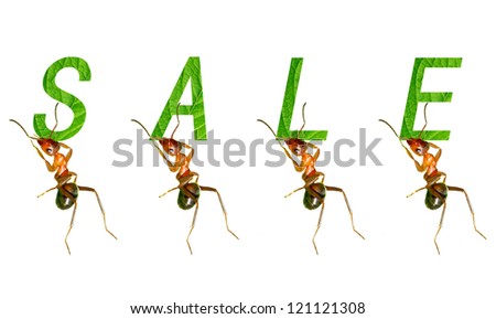The ants to promote creative picture
