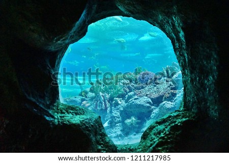 Aquarium artificial stone cave with blue light hole in the center for copy space, can able to see fish tank under the sea through the window. Use for background, taken in Thailand.