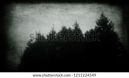 Misty landscape, scary forest, halloween background