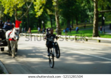 Defocused background of Central Park, New York City, USA. Intentionally blurred post production for bokeh effect                              