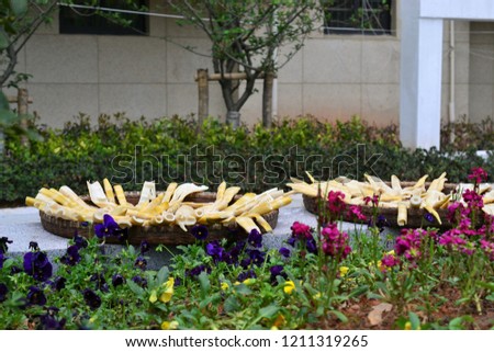 Bamboo shoots drying in basket next to flowers, Chinese cuisine, CHINA