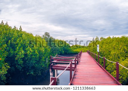 Duta beach has a lot of spot to visit. Like this one, you can enjoy the bridge and the view within mangrove park. If lucky, you will find some birds flying above you.