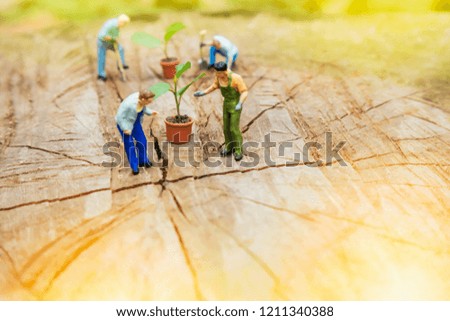 Greenhouse concept, miniature mini figures with planting tree  on stump and protect nature and environment. Save the world with plant trees in the forest background