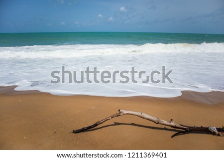 Smooth white foamy wave splashing on sandy beach with wooden branch