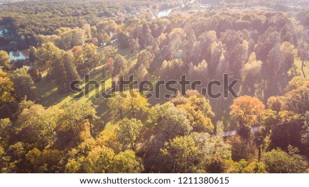 autumn forest, photo from the drone