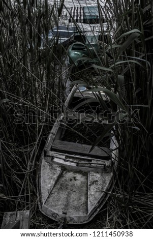 abandoned boats in the reeds