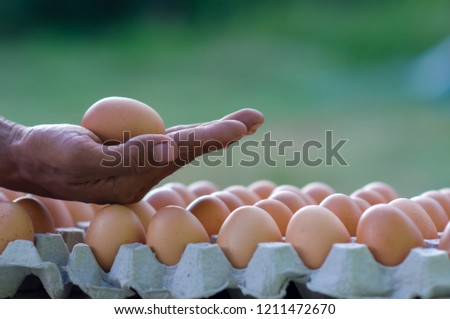 Egg on the palm of the man. Below is a paper egg tray to prepare to sell. It is a large egg that comes from the chicken farm of the farmer. Picture is selective focus style.