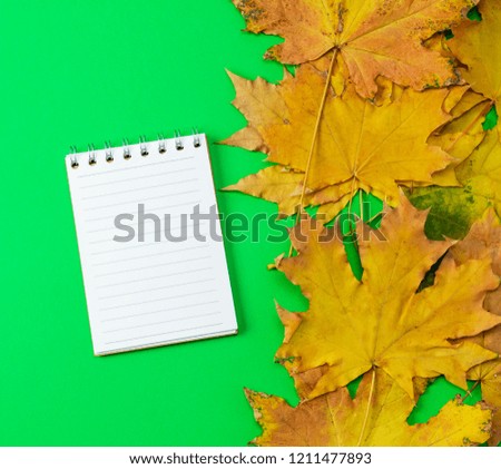 Open notebook in line with white blank pages on a green background, near yellow maple leaves, top view