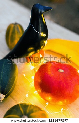 Black wooden dummy of a crow with pumpkins and lights of garland outdoors. Halloween decoration concept.