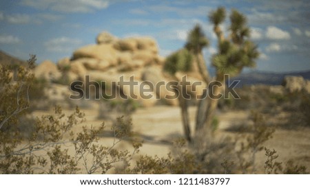 Desert plants blowing in the wind background plate for compositing
