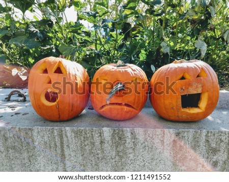 Humorous Carved Pumpkins