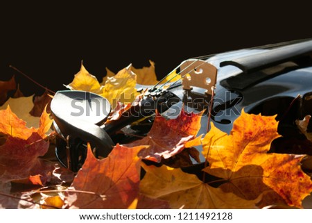 autumnal picture with maple leaves in bold colors and the detail of a black violin.
Close-up in natural sunlight