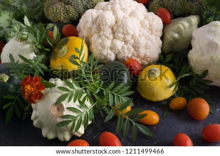 Beautiful picture of vegetables. squash, cauliflower, cherry tomatoes and broccoli .Natural texture of vegetables.