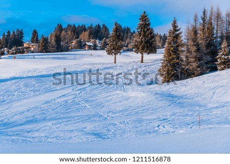Snow traces on the ski resort, Carezza , Italy