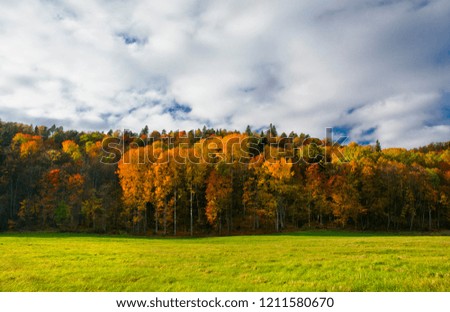 Beautiful autumn landscape. Weather still warm and sun is shining but trees are taking beautiful golden colors.