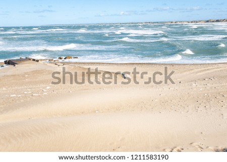 Sand beach in northern Jutland, North Sea coast, Denmark