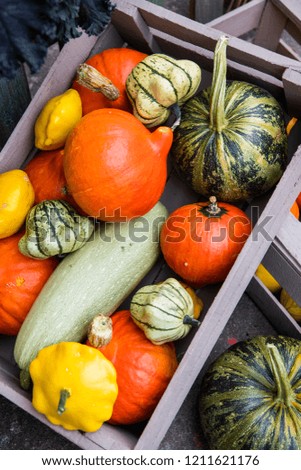 Picture from above of wooden boxes with autumn vegetables