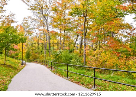 Image of beautiful autumn leaves background 