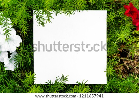 leaves and flowers layout background with white copy space
