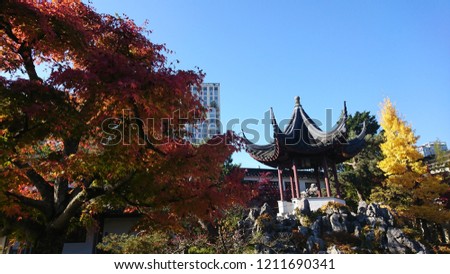 Zen Chinese garden within Vancouver, BC. Subtle mix of modernity and tradition and nature and city.
