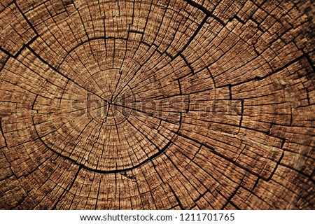 Ideal round cut down tree with annual rings and cracks. Wooden texture. Royalty-Free Stock Photo #1211701765
