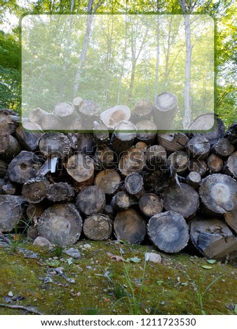 Nature wood pile sign with blank copy space