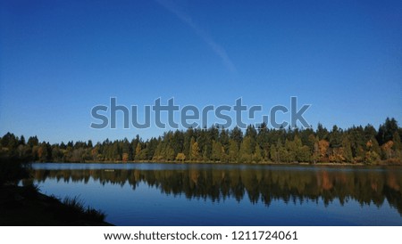 Majestic Autumn pine forest reflection in Lost Lagoon, Vancouver - BC