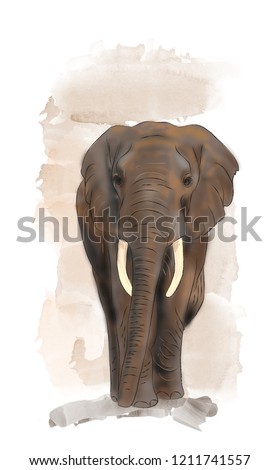Baby african elephant watercolor illustration