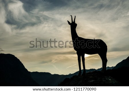 silhouette of deer, digital photo picture as a background