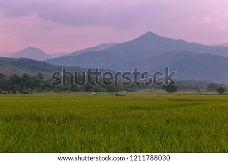 The sun-drenched mountain backdrop hits the lush green rice paddies, the intimate nature wallpapers, the beautiful natural scenery, the colorful seasonal changes, the beautiful scenery in Nan,Thailand