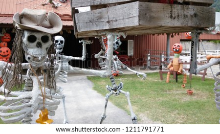 Beautiful Halloween Bones