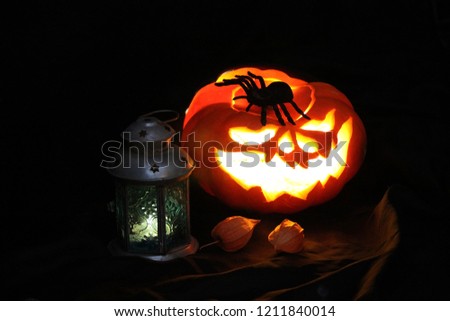 Halloween Pumpkin Jack O Latern on dark background.