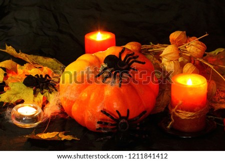 Halloween Pumpkin  background.