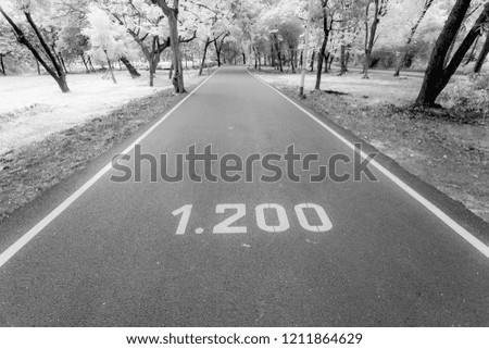 infrared photography of Road for the runner in the park.