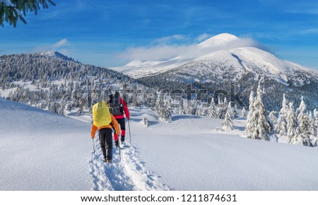 Winter hiking. Tourists are hiking in the snow-covered mountains. Beautiful winter landscape in the mountains.