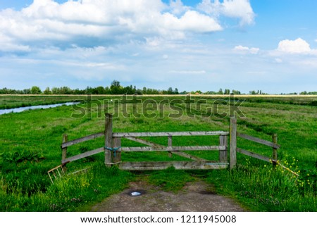 Europe, Netherlands, Zaanse Schans, a wooden bench sitting on top of a lush green field