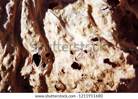 Dry brown leaf texture, natural organic  background, close up detail, soft sepia  yellow surface with holes