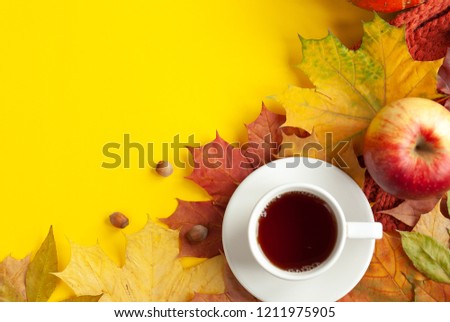 autumn background of free space and autumn time