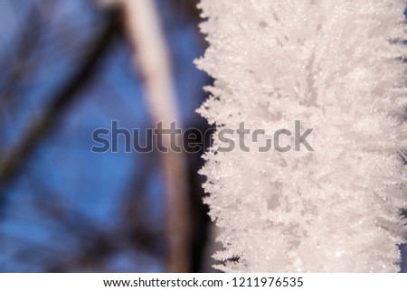 Macro hoarfrost on branch with blue sky background