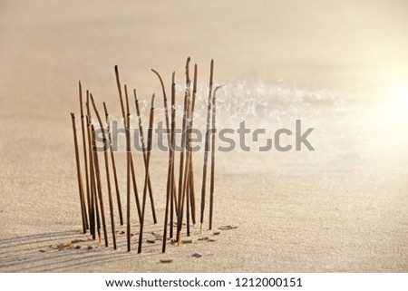 Incense stick and smoke from incense burning. Incense stick burning on the beach, against the background of the sea. Beautiful smoke. Blurred background and design with copy space.
