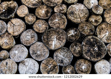 Close-up old wood timber  for construction texture. Abstract background
