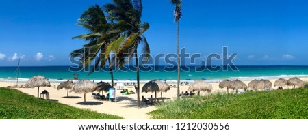 Panoramic view of tropical white sandy beach with blue sea, coconut palm tree, long chairs and umbrella. Tropical destination for relax holiday. Havana, CUBA.