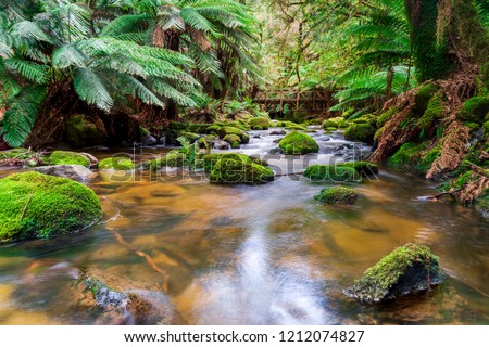 South George River, Tasmania, Australia.
At the base of Tasmania's highest waterfalls, St Columba Falls, the South George River flows.