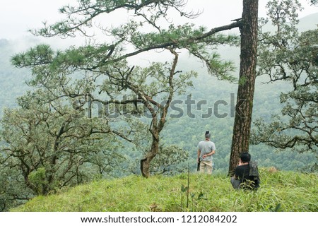 The man enjoying in green fields at the mountain landscape, Foggy background