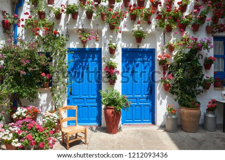 Blue patio doors with flower decorations on the wall in Spain  