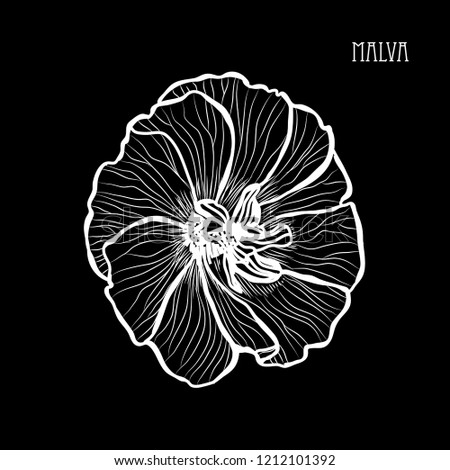 Decorative malva  flower, design element. Can be used for cards, invitations, banners, posters, print design. Floral background in line art style