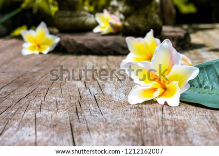 Plumeria flowers on old wooden floor.