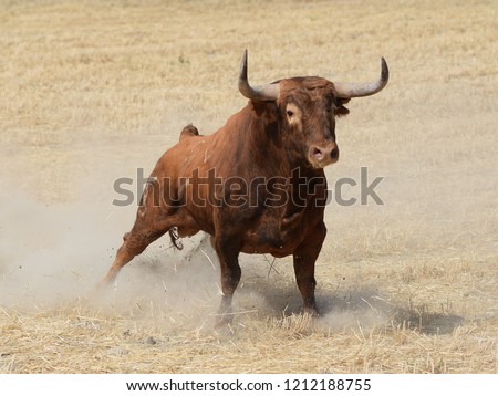 bull spanish danger Royalty-Free Stock Photo #1212188755