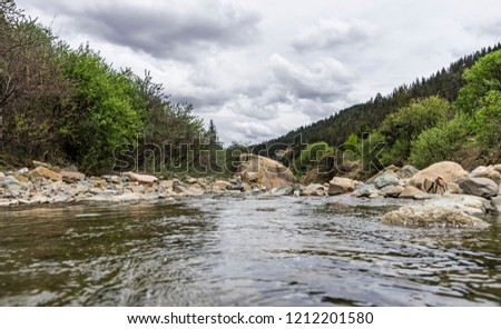 Mountain river - stream flowing through thick green forest. 