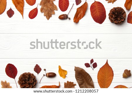 autumn composition, autumn leaves

